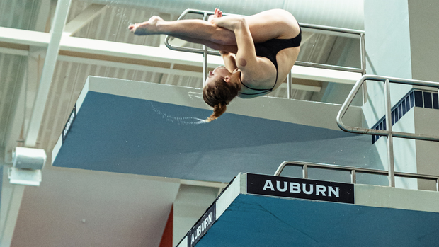 University of South Carolina Athletics