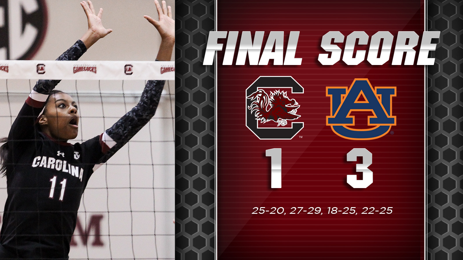 Volleyball Loses Sunday to Auburn, 3-1