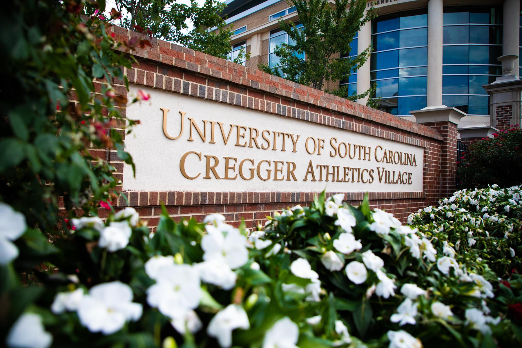 Gamecock Athletics Announces Leadership Promotions