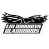 LIU Brooklyn logo