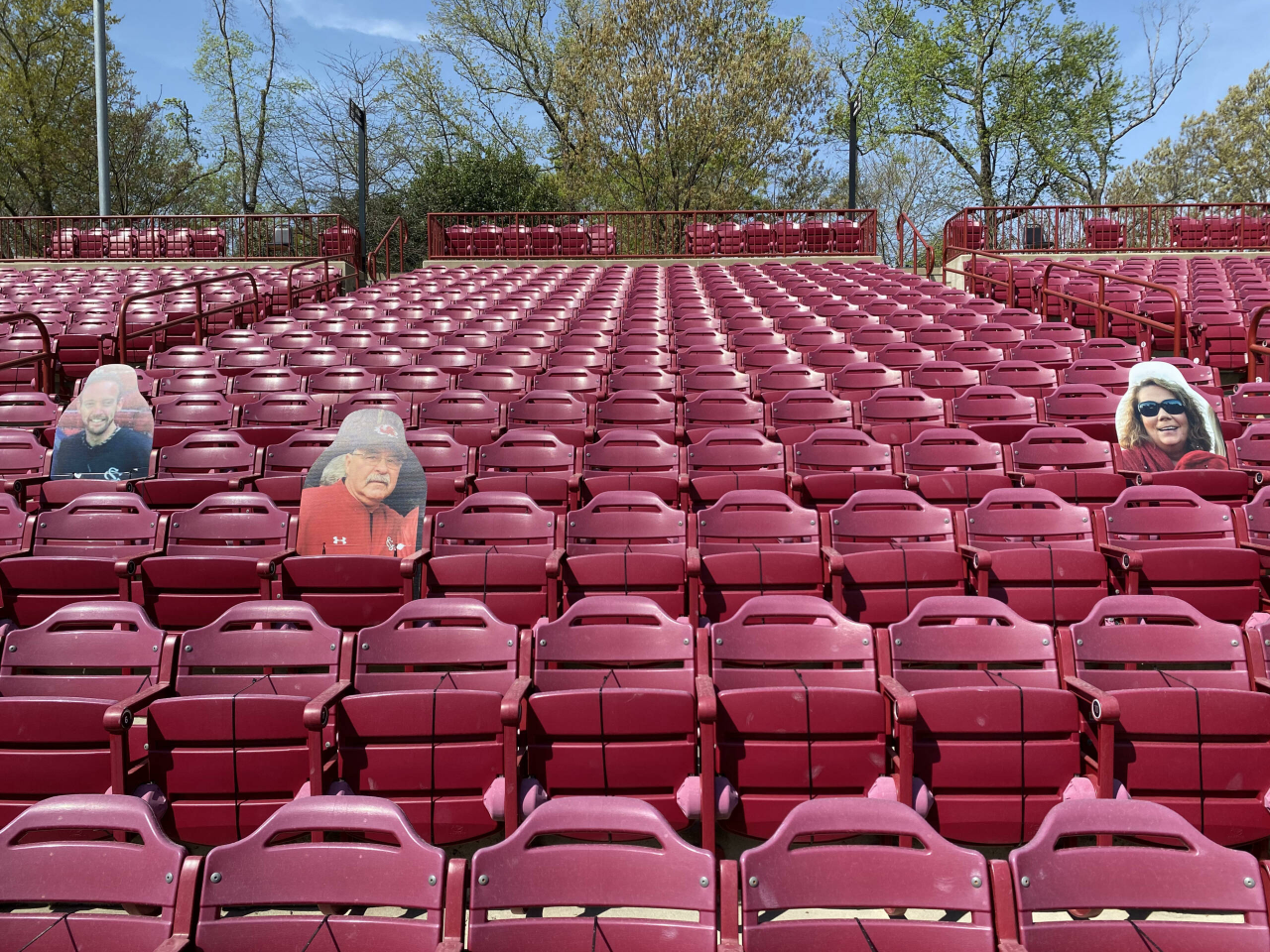 Foul Ball Zone (section 22)