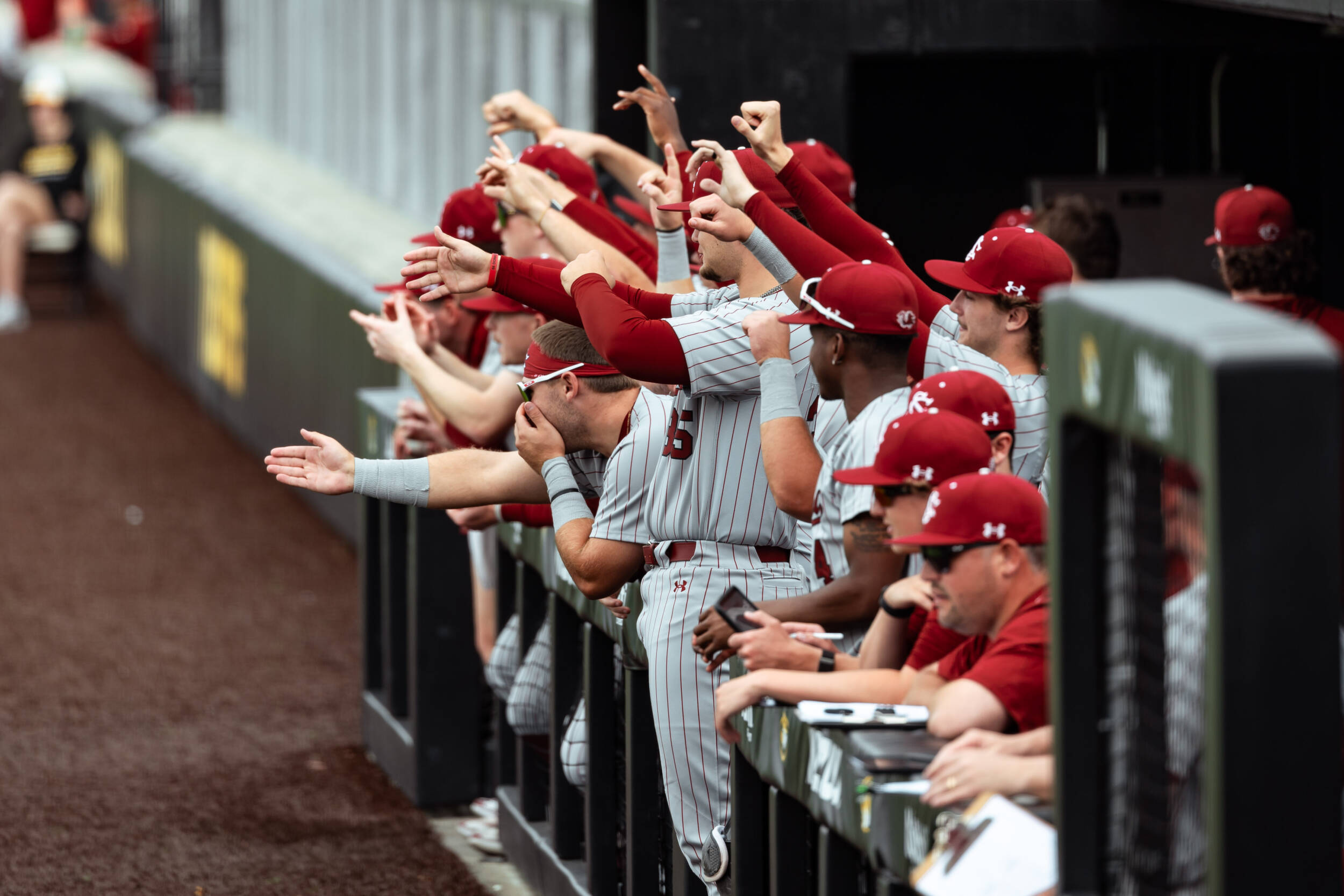 Baseball Starts Nine-Game Homestand Tuesday Night