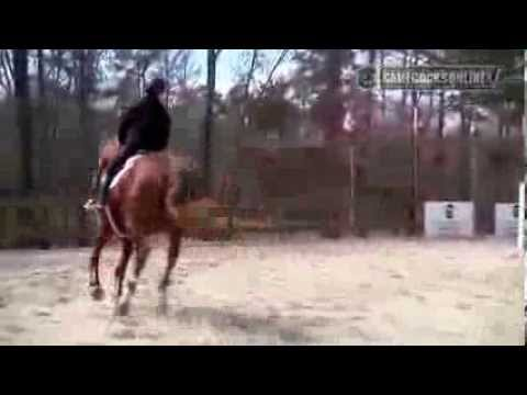 No. 1 South Carolina Equestrian Defeats No. 2 Auburn