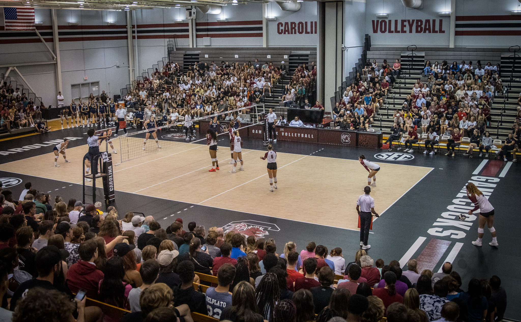 Gamecock Volleyball Opens Fall Season With Two-Day Home Tournament