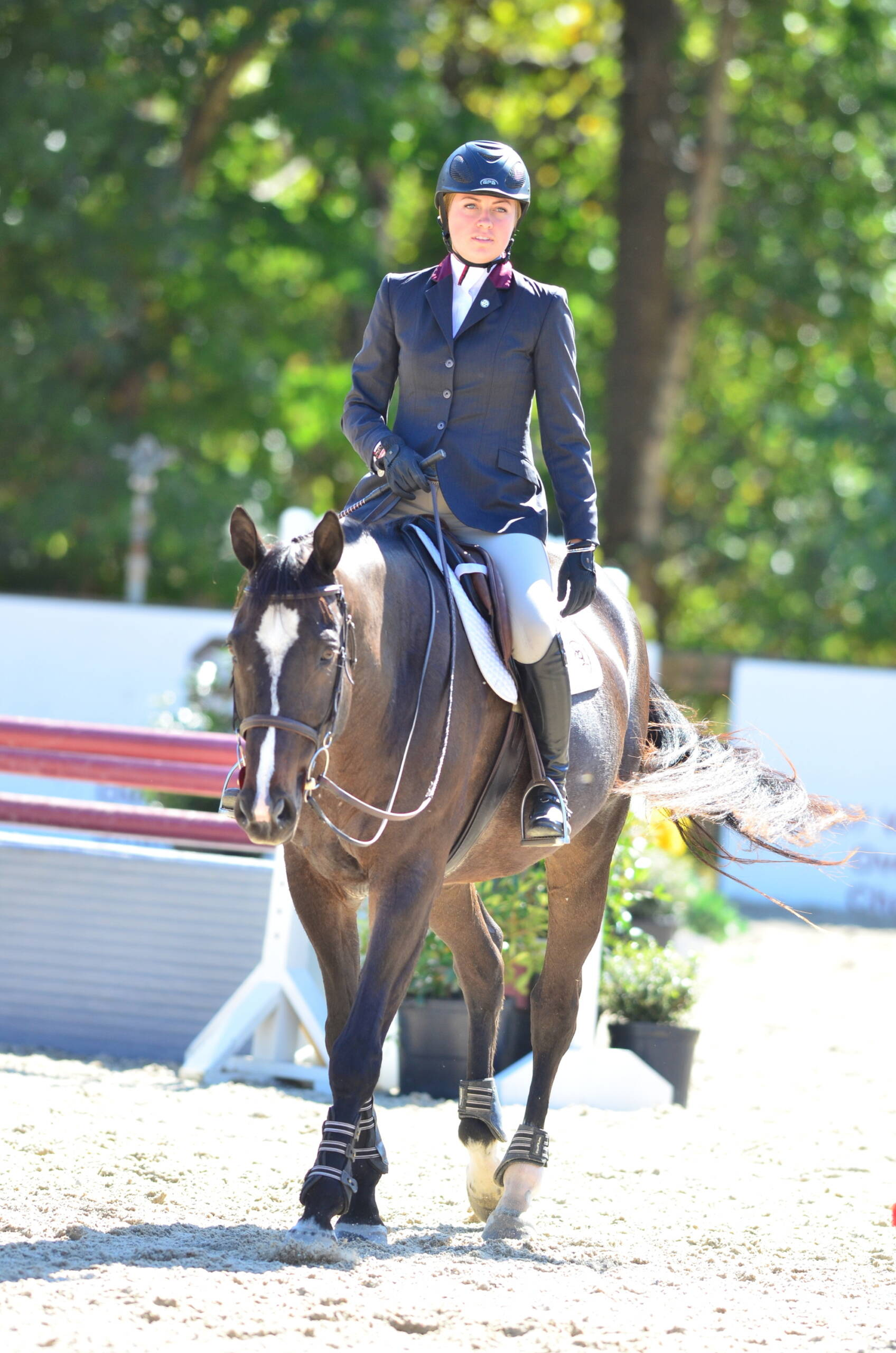 South Carolina Equestrian Ranked No. 1 for 16th Straight Week