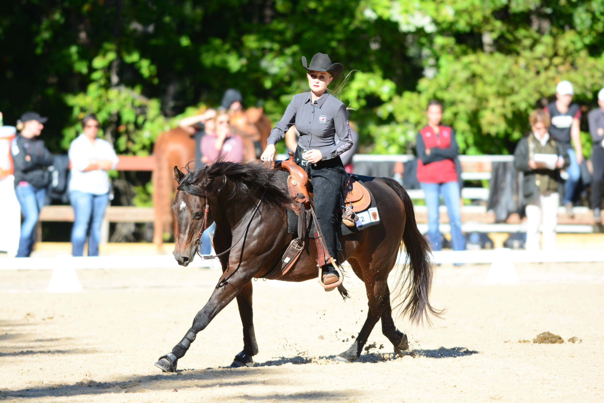 Clemson Added To Equestrian Schedule