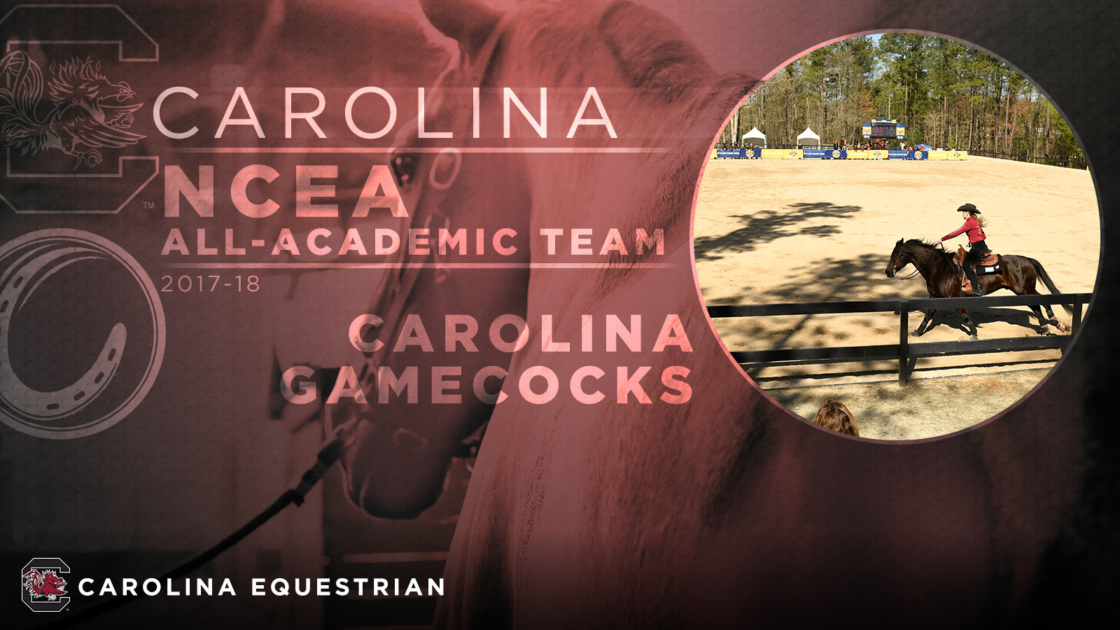 Gamecocks Lead NCEA with 12 All-Academic Selections