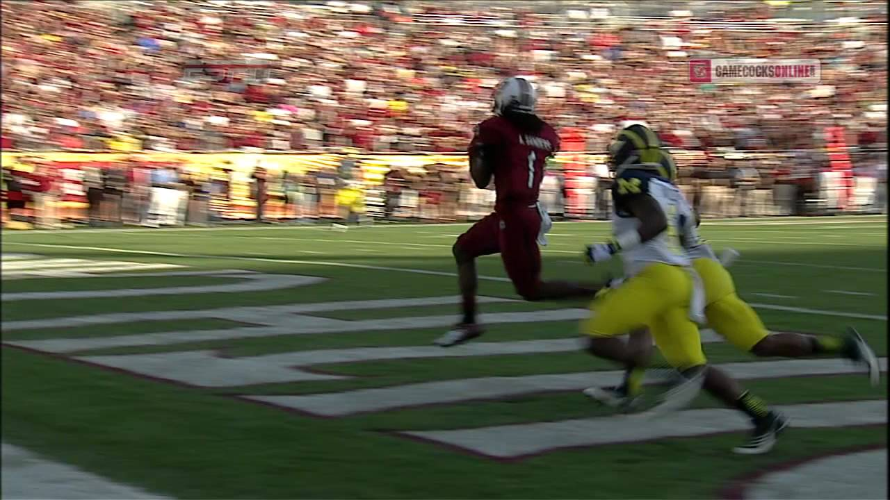 Connor Shaw to Ace Sanders Touchdown - Outback Bowl - South Carolina vs. Michigan