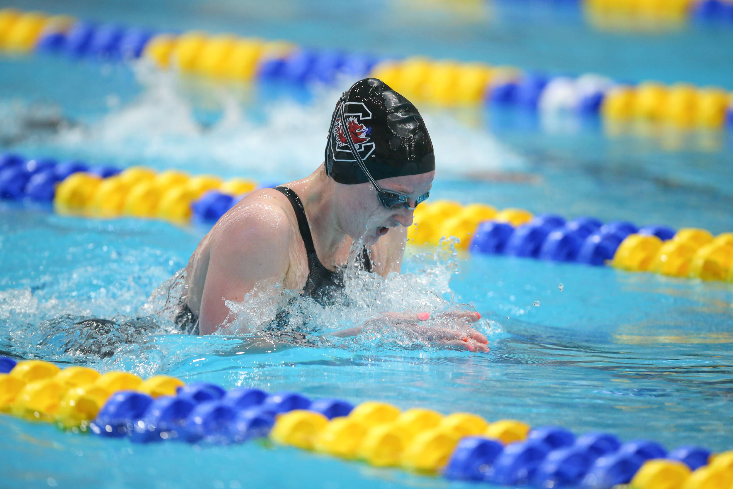 Harnish Punches Ticket to NCAAs at Last Chance Meet