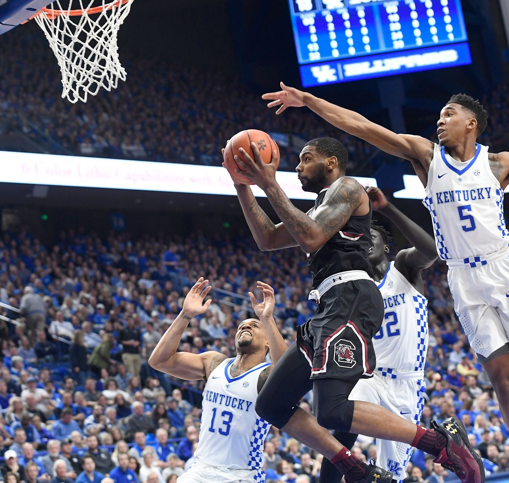 No. 24 Gamecocks Handed First SEC Loss By No. 5 Kentucky, 85-69