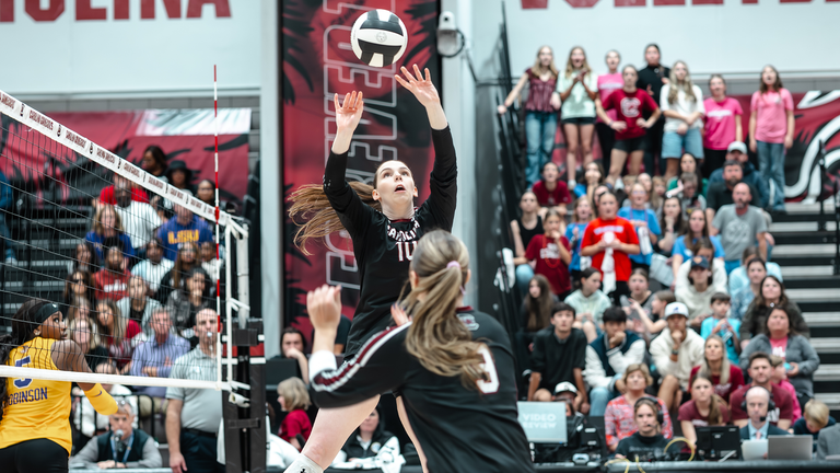 University of South Carolina Athletics