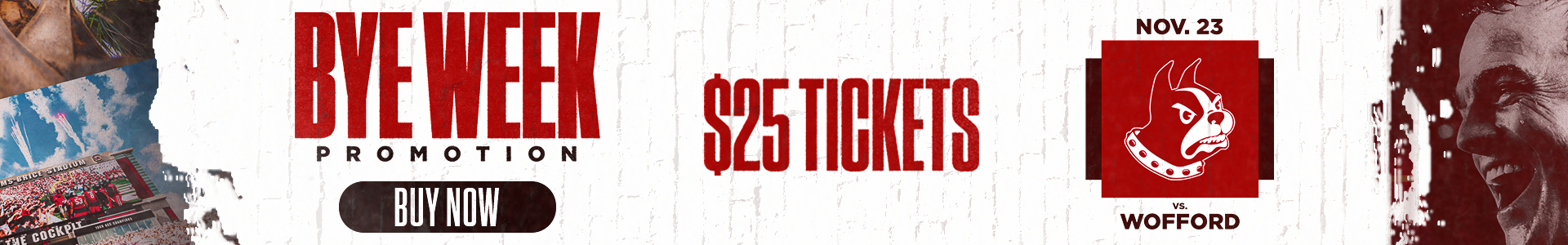 SPRINGFIELD COLLEGE FOOTBALL SCHEDULE 2025 PDF PRINTABLE visual data 5