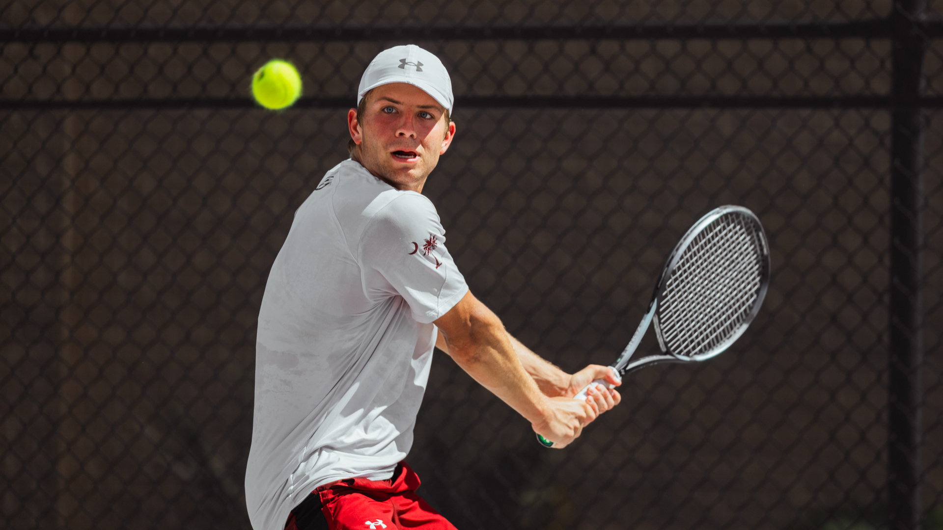 Gamecocks Sweep Tennessee in Regular Season Finale