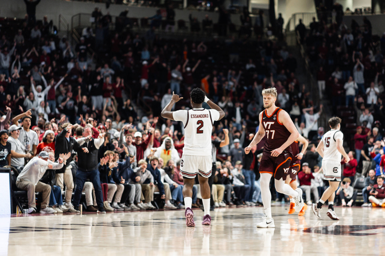 University of South Carolina Athletics
