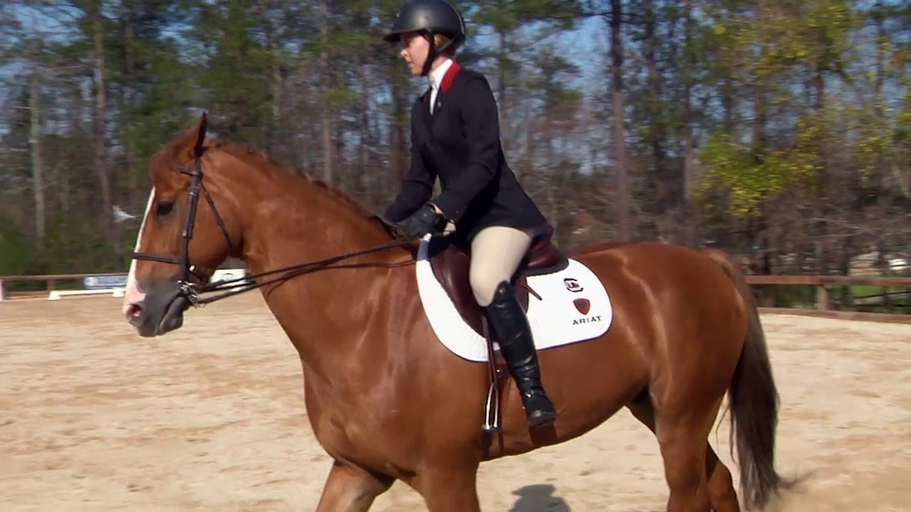 HIGHLIGHTS: Equestrian vs. Auburn — 2/25/17