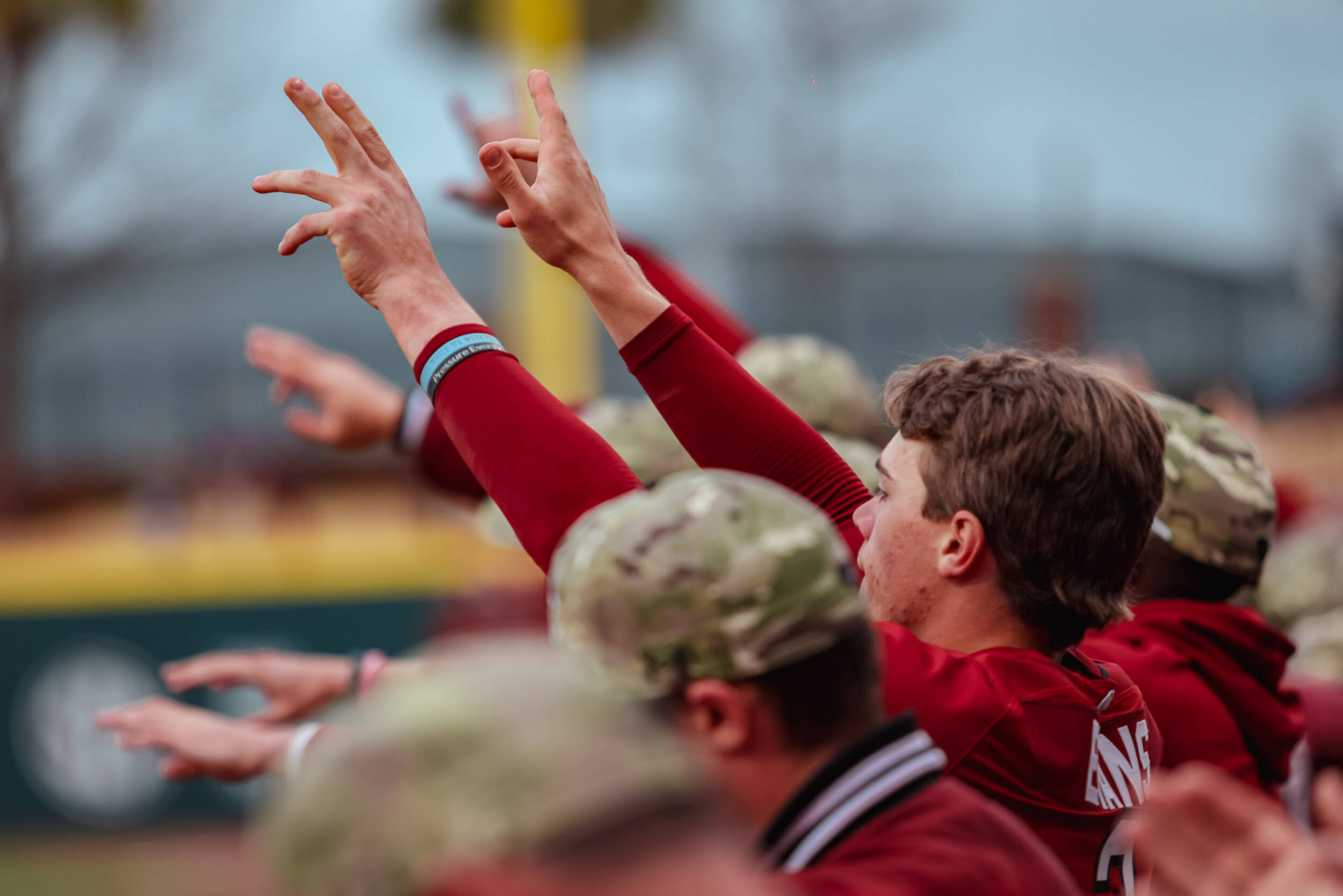 Baseball Faces In-State Rival Clemson This Weekend in the Palmetto State