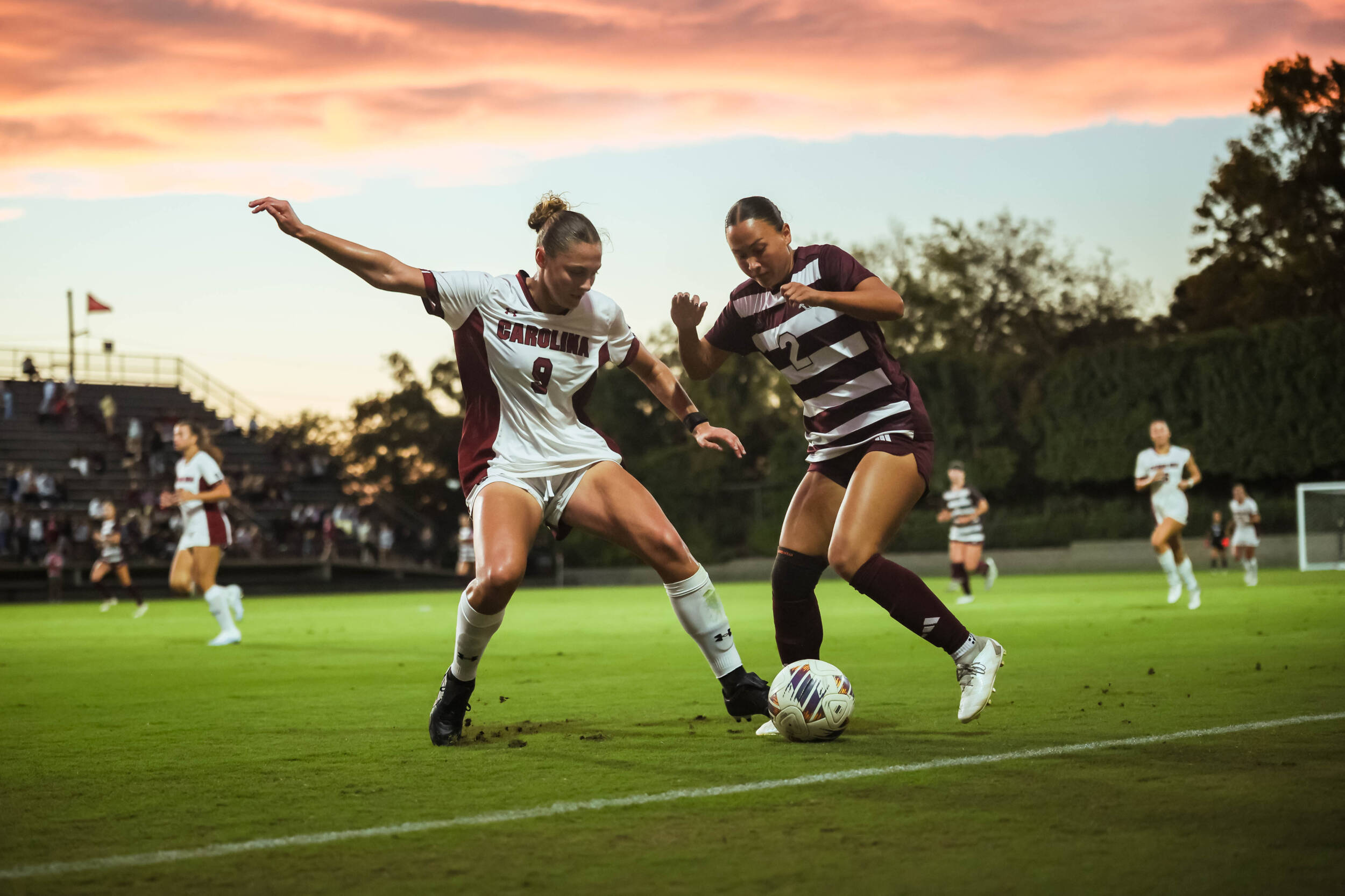 Gamecocks Draw with Aggies
