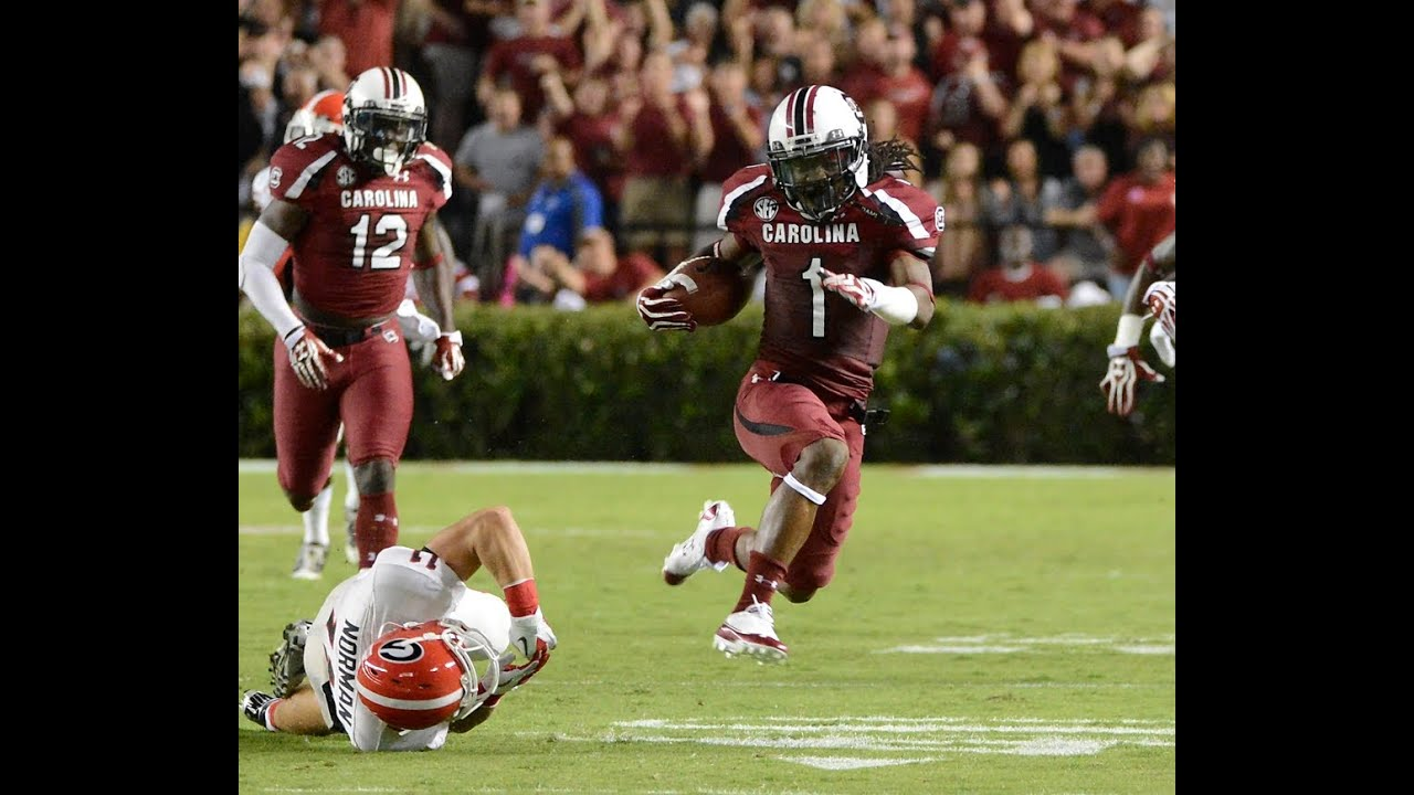 Highlights: Ace Sanders - South Carolina Football