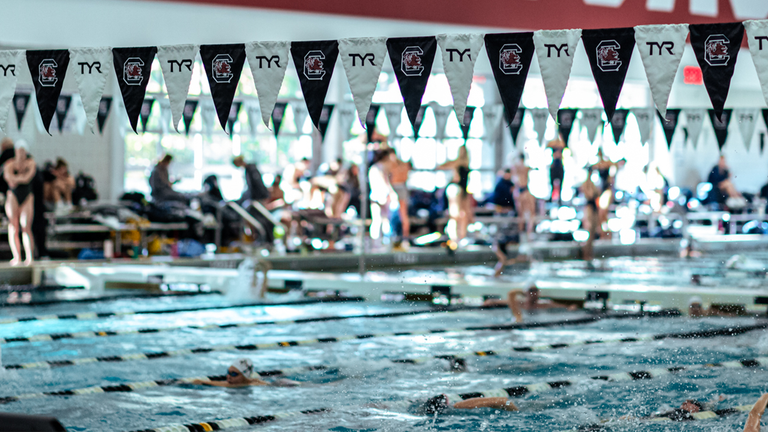 University of South Carolina Athletics