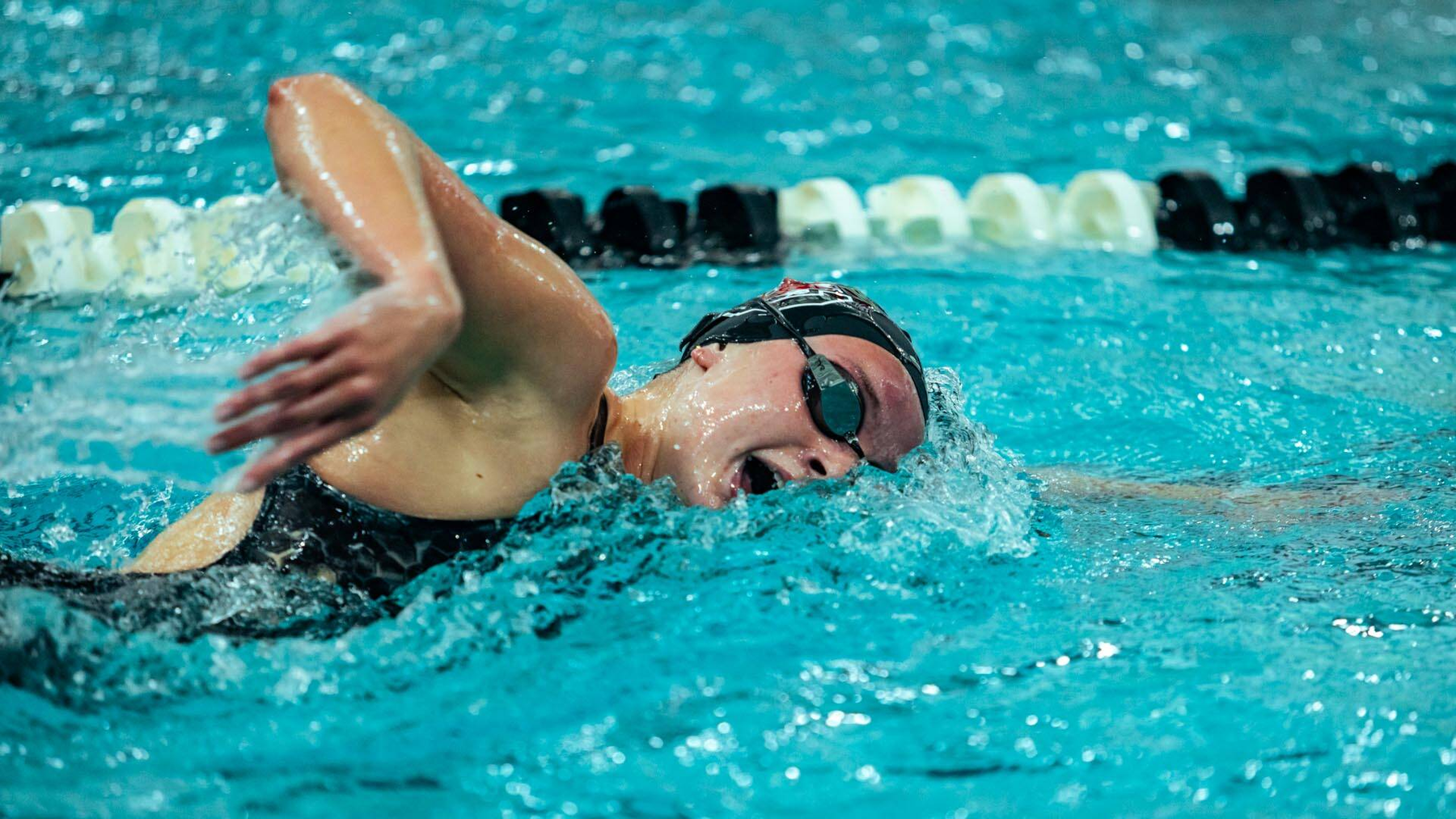 Gamecock Women Set for Road Meet vs. Arkansas Saturday