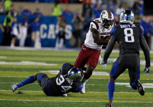 Bryan Edwards vs. Kentucky - Sept. 29, 2018 | Photo by Mark Cornelius