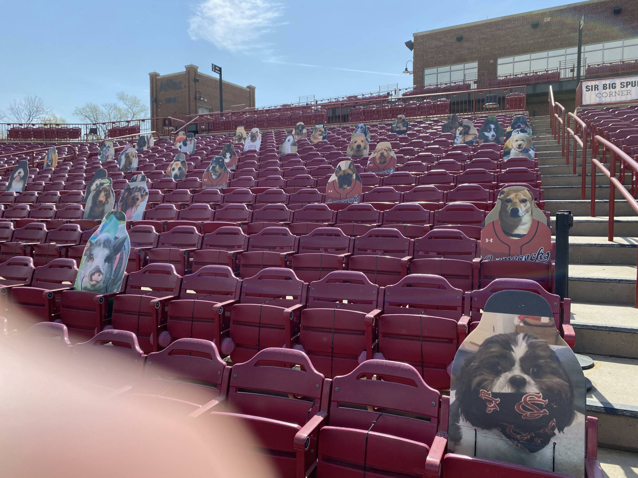 Bark at the Park (section 4)