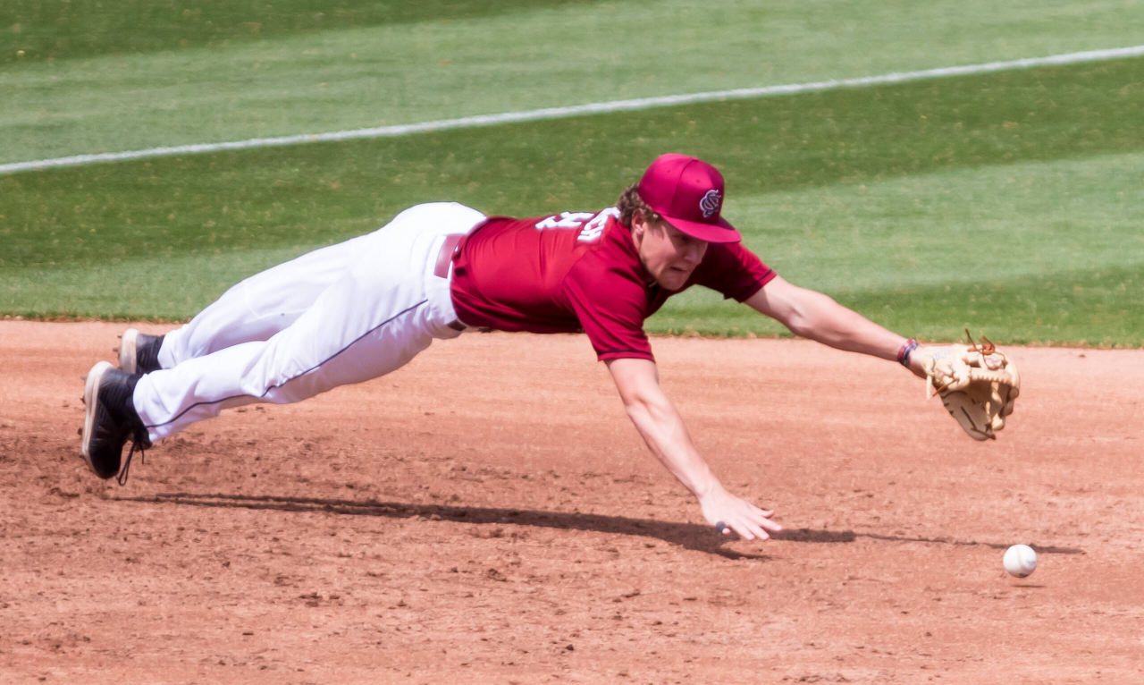 South Carolina Gamecocks second baseman Jeff Heinrich (8) dives for a ball against the Florida Gators.