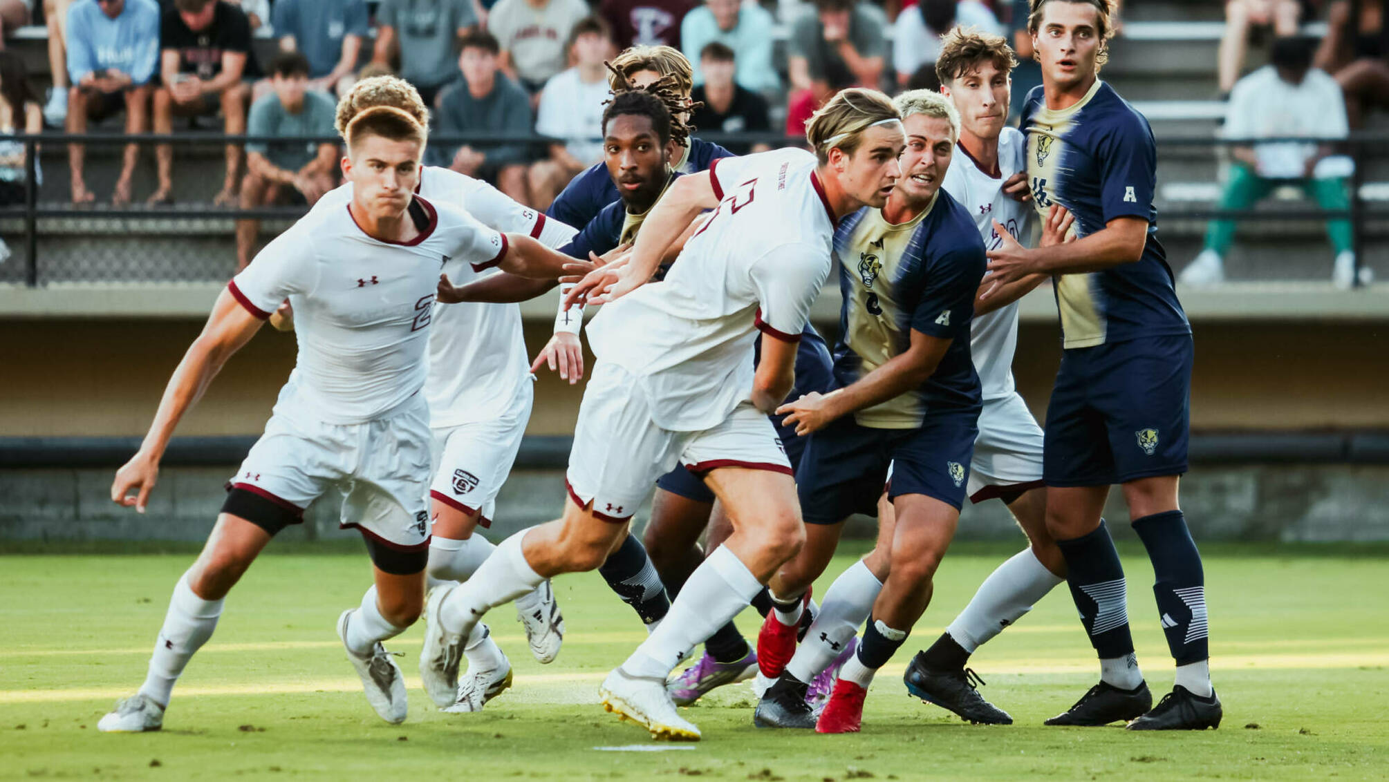 Gamecocks Take on Charlotte in Third Match of Homestand