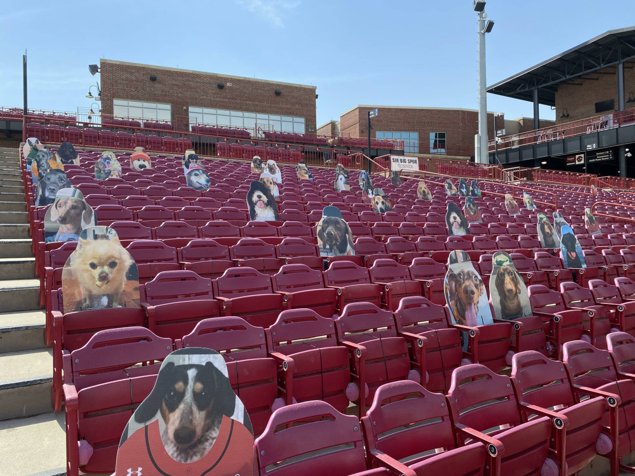 Bark at the Park (section 4)