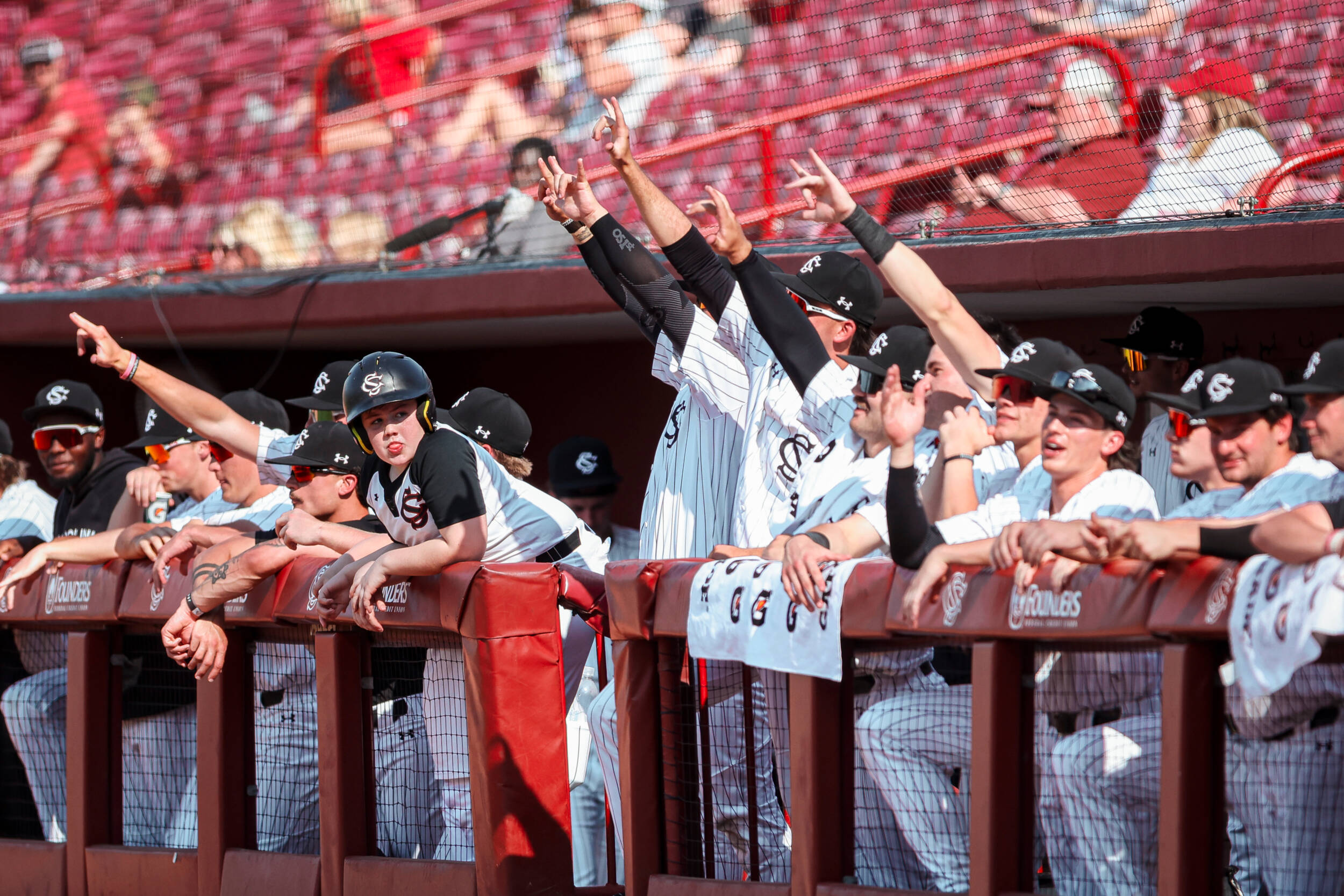 Gamecock Baseball Notebook