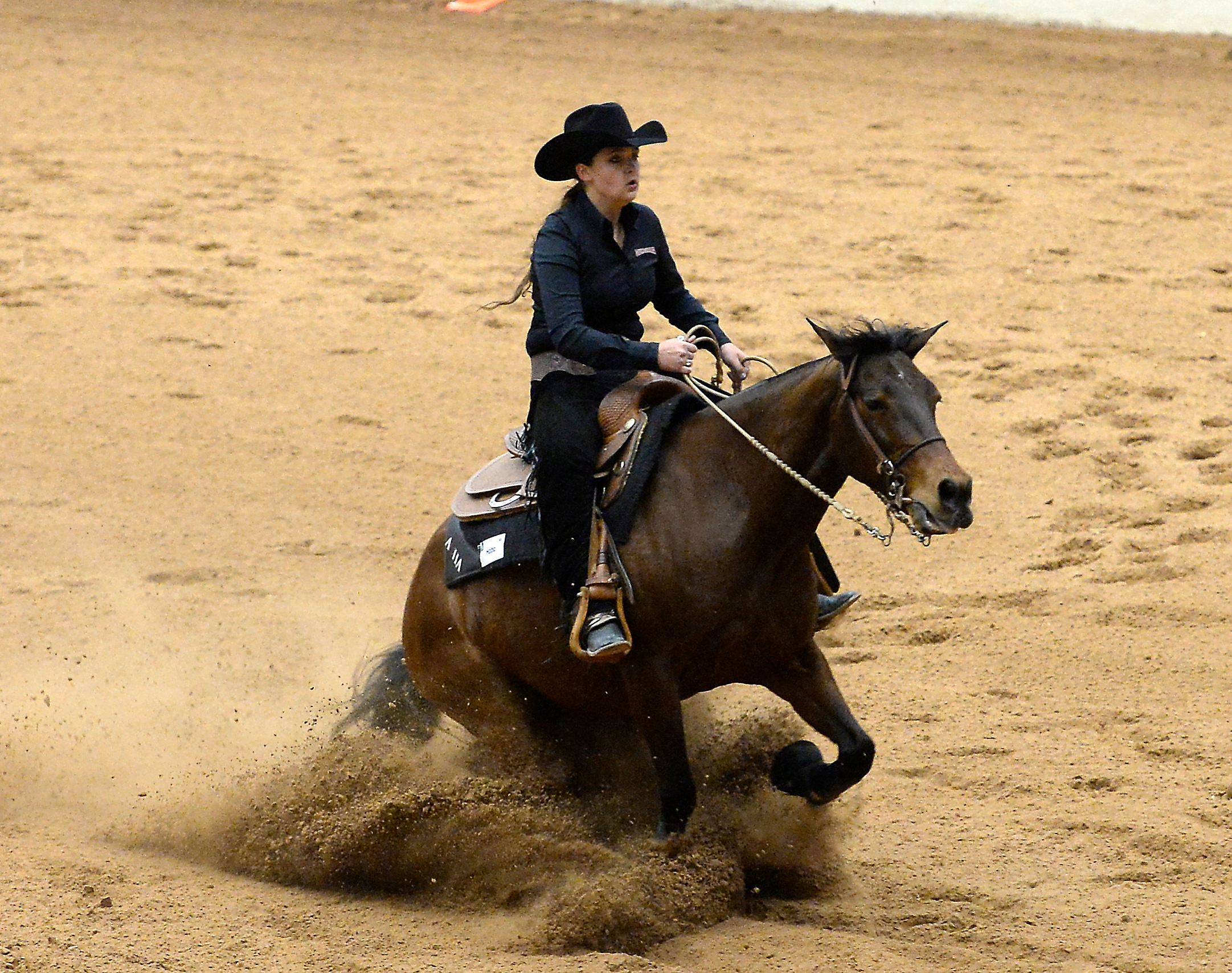 South Carolina vs. TCU (2014 NCEA Quarterfinals)