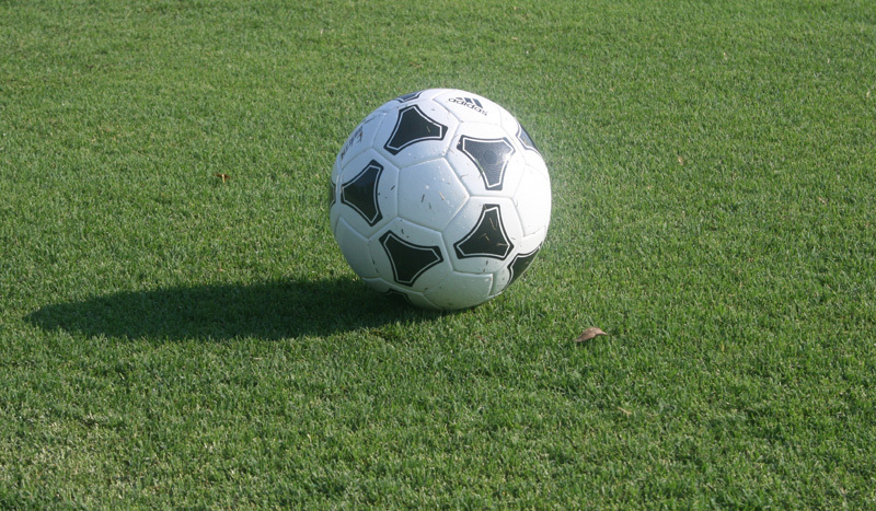 2011 South Carolina Men's Soccer Preseason