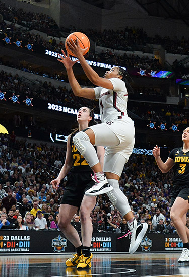 Gamecocks End Historic Season in Final Four
