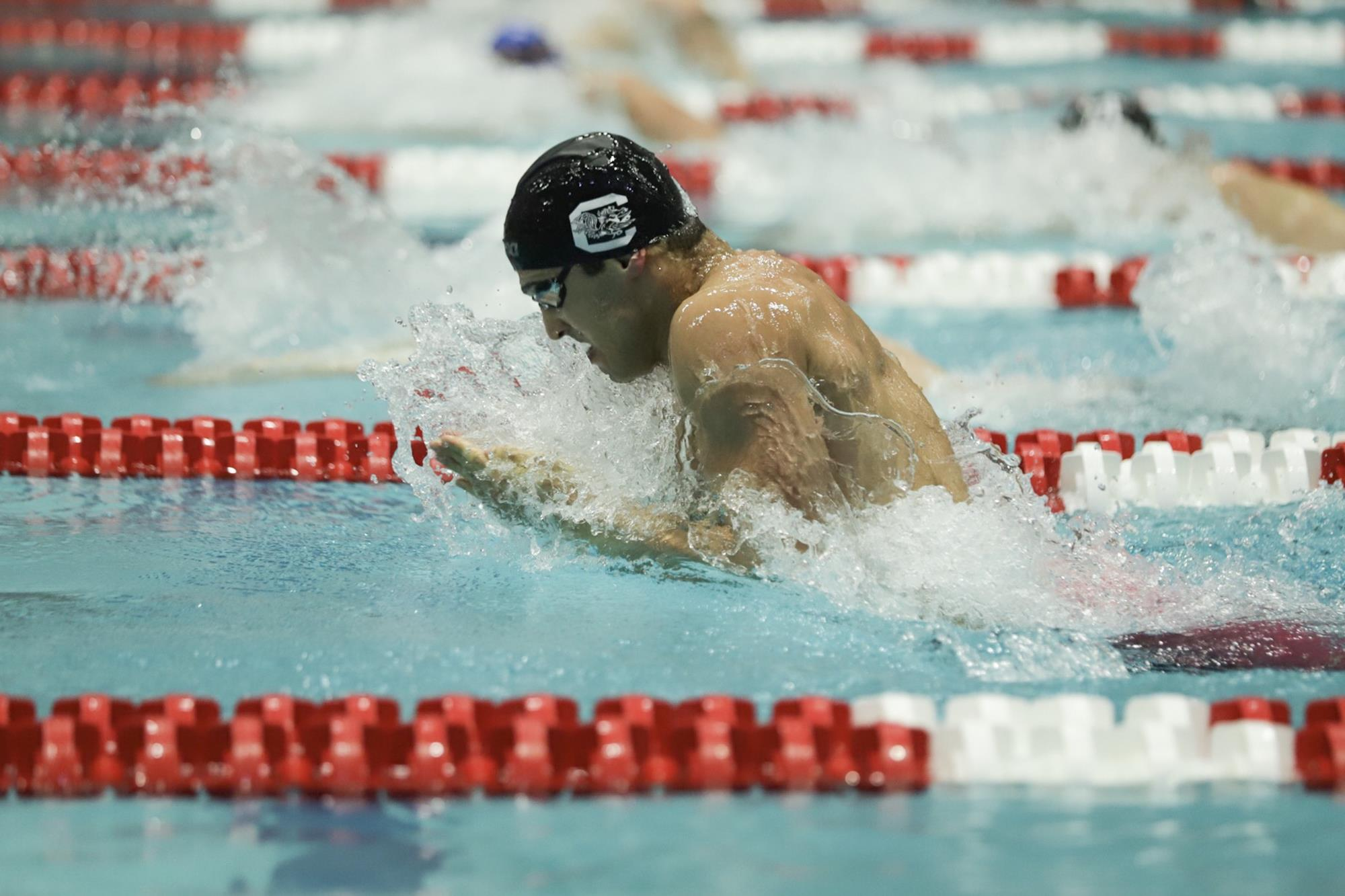 Gamecocks Wrap up 2019 FINA World Championships