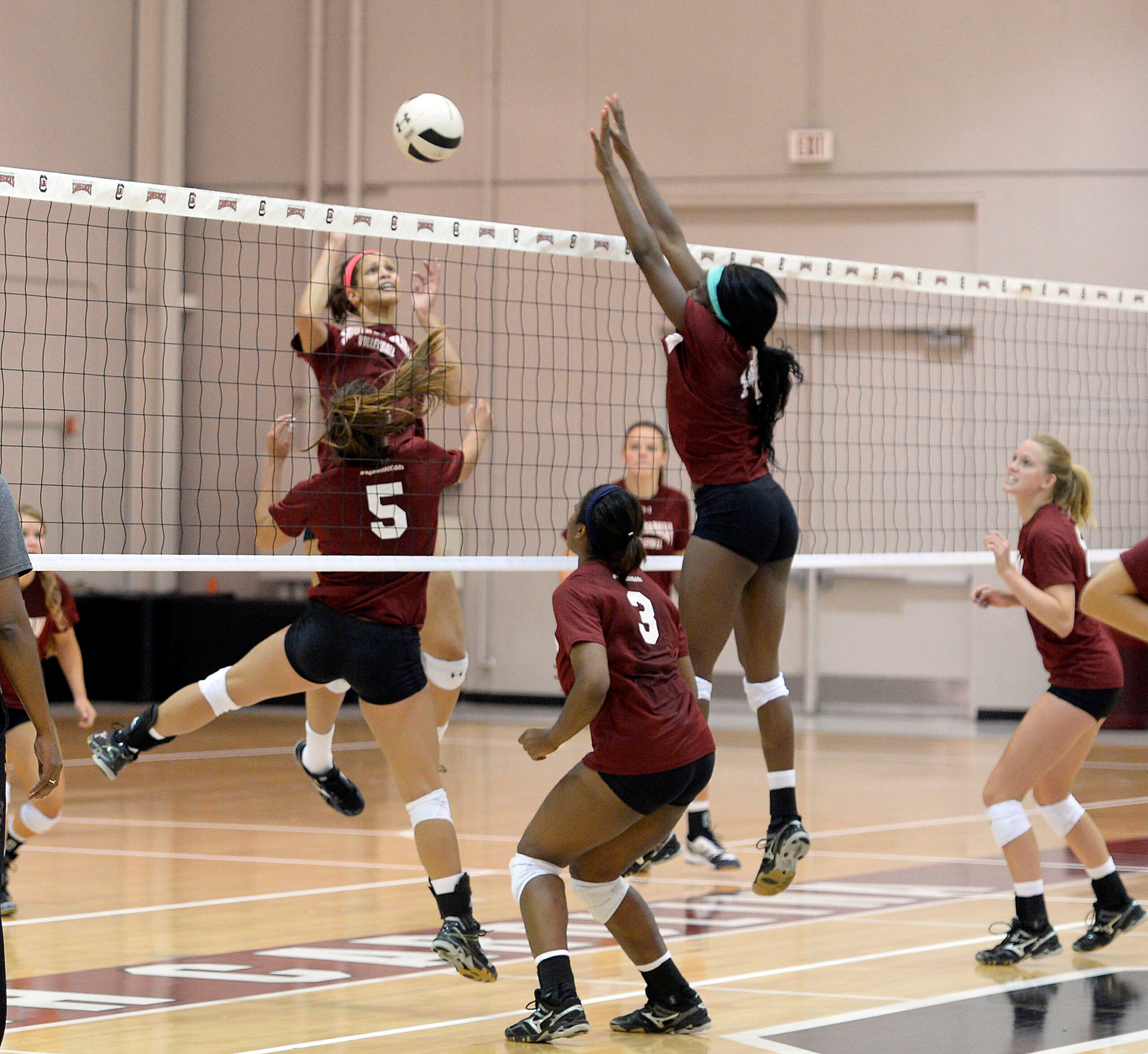 Gamecock Volleyball Opens Fall Camp - 8/8/15