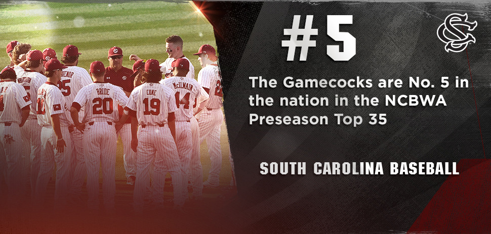 Baseball Ranked No. 5 In The Nation By The NCBWA