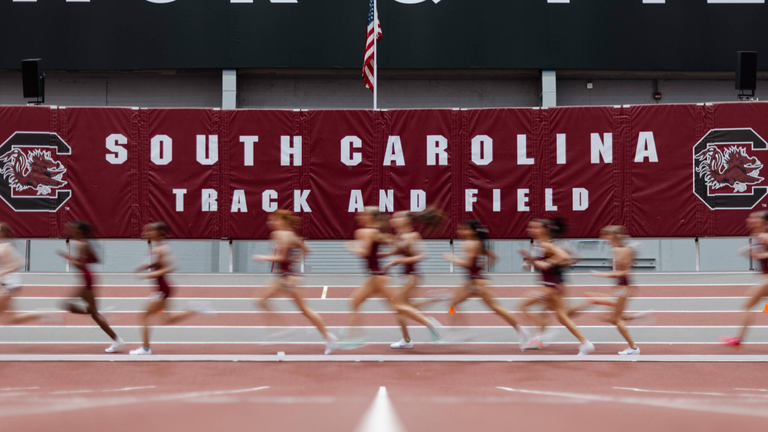 University of South Carolina Athletics