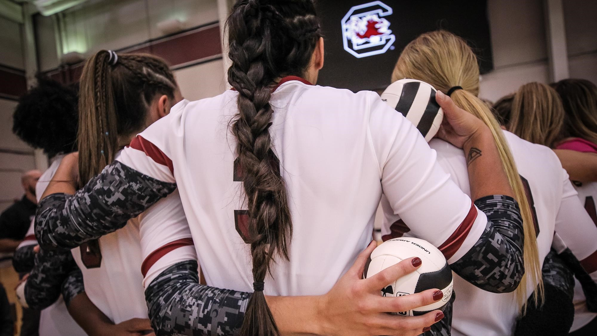 Gamecock Volleyball to Hold Free Scrimmage Saturday Afternoon