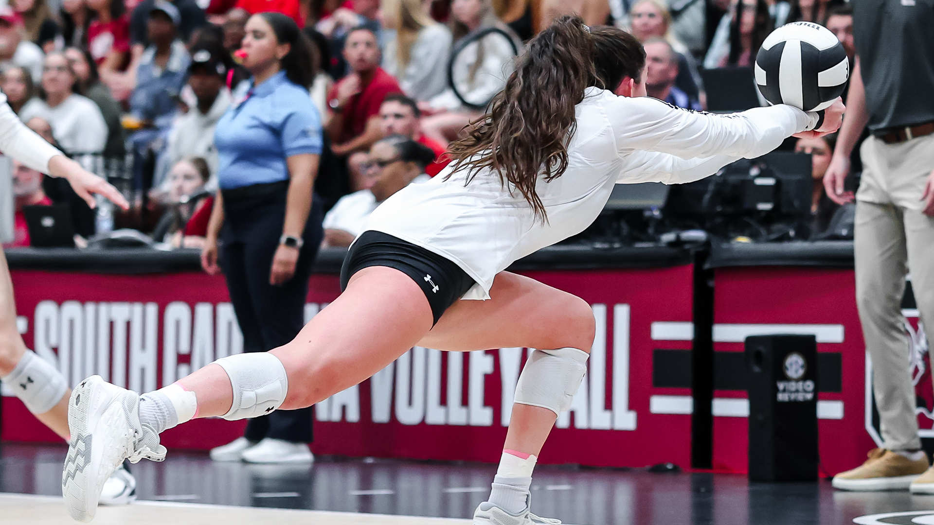 Gamecocks Fall to Alabama