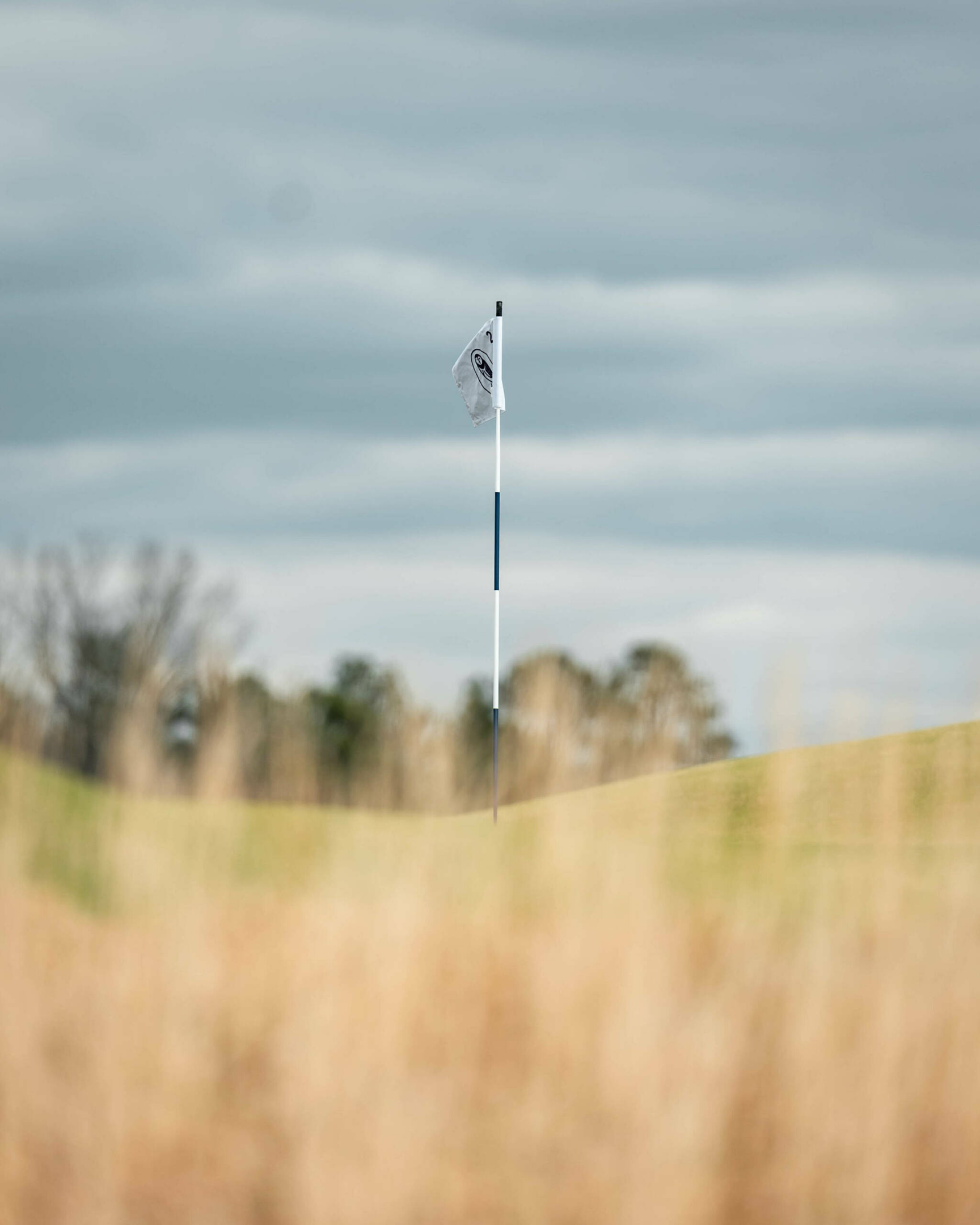 No. 22 Gamecocks Host Third Edition of Old Barnwell Derby Match Play