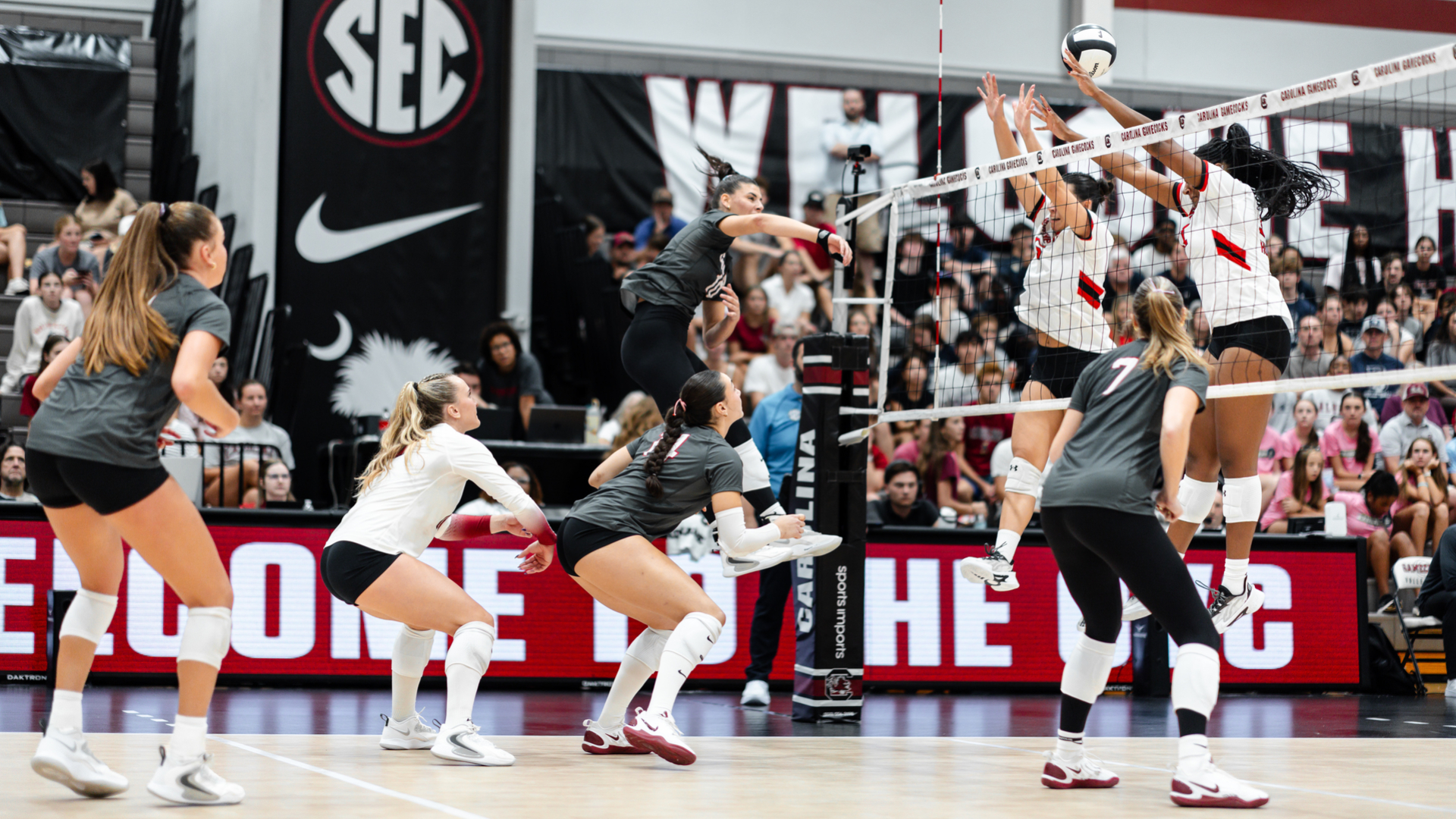 Gamecocks Conclude Opening Weekend with Sweep Over Northeastern