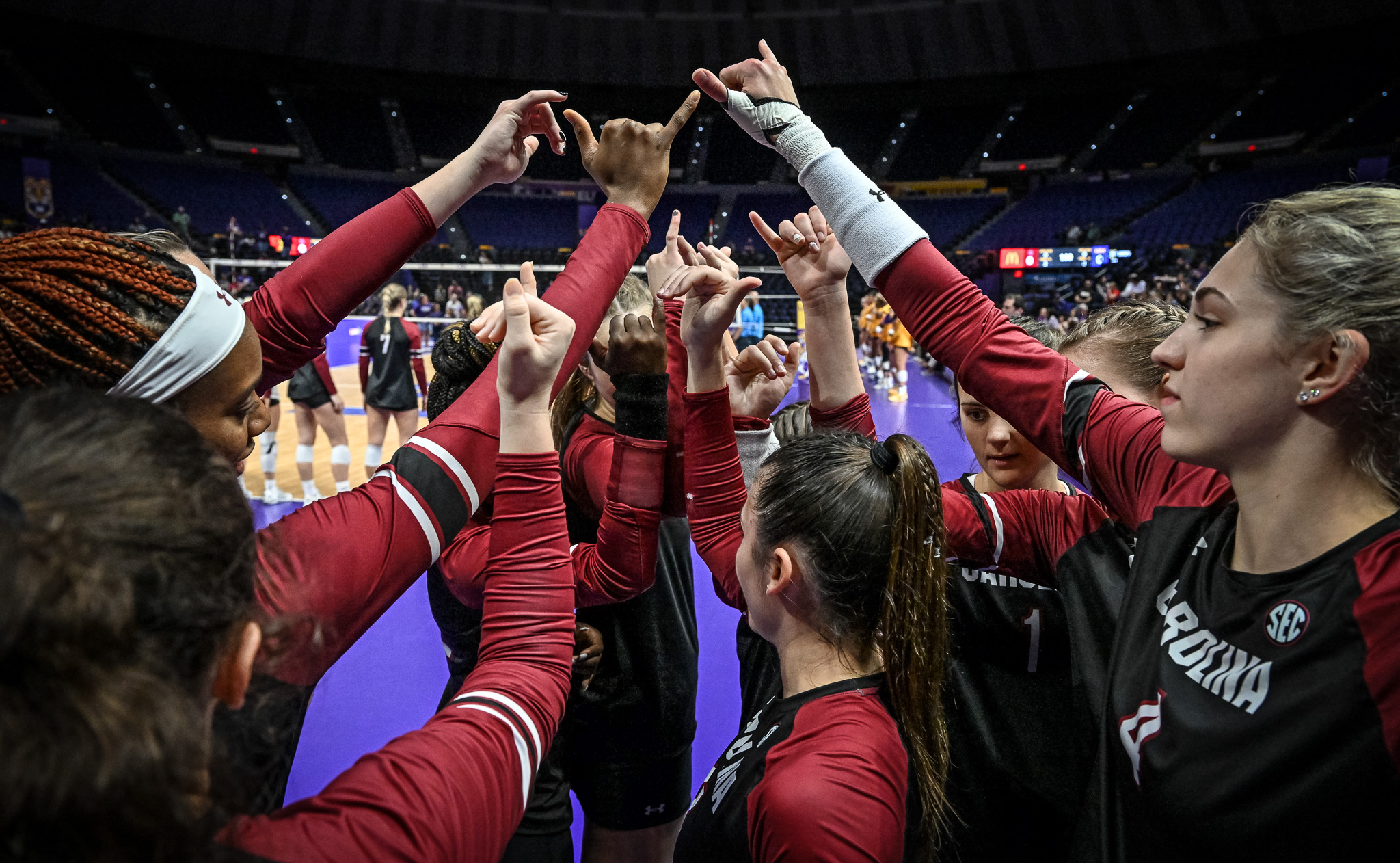 Volleyball Hosts Texas A&M on Friday Night