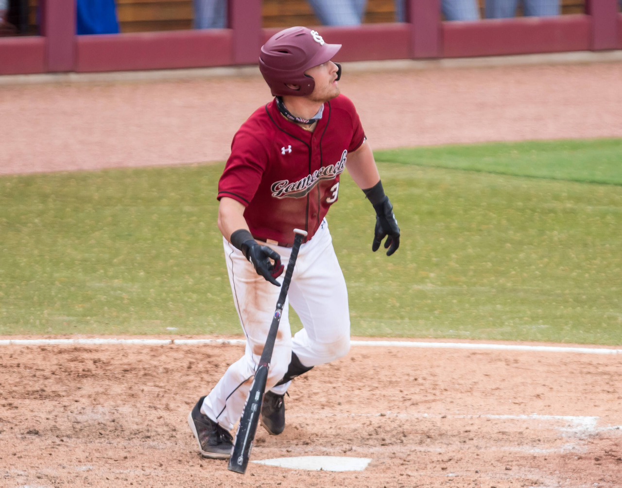 South Carolina Gamecocks outfielder Brady Allen (33) watches his second home run of the game against the Florida Gators.