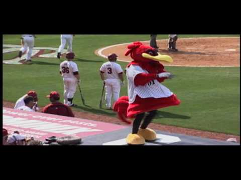 Cocky Dancing on the Dugout