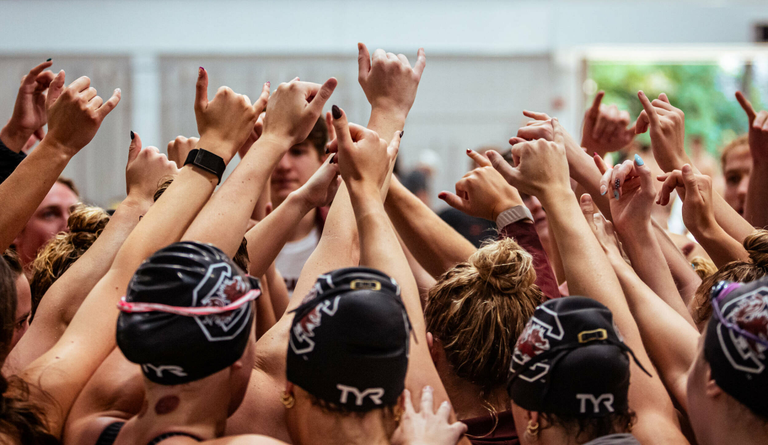 University of South Carolina Athletics