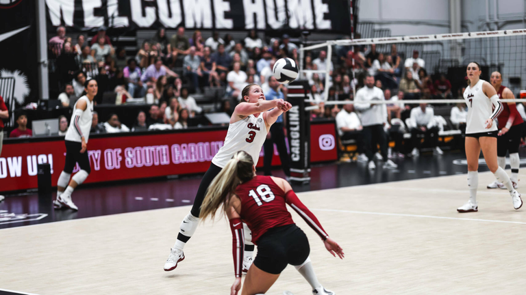 University of South Carolina Athletics