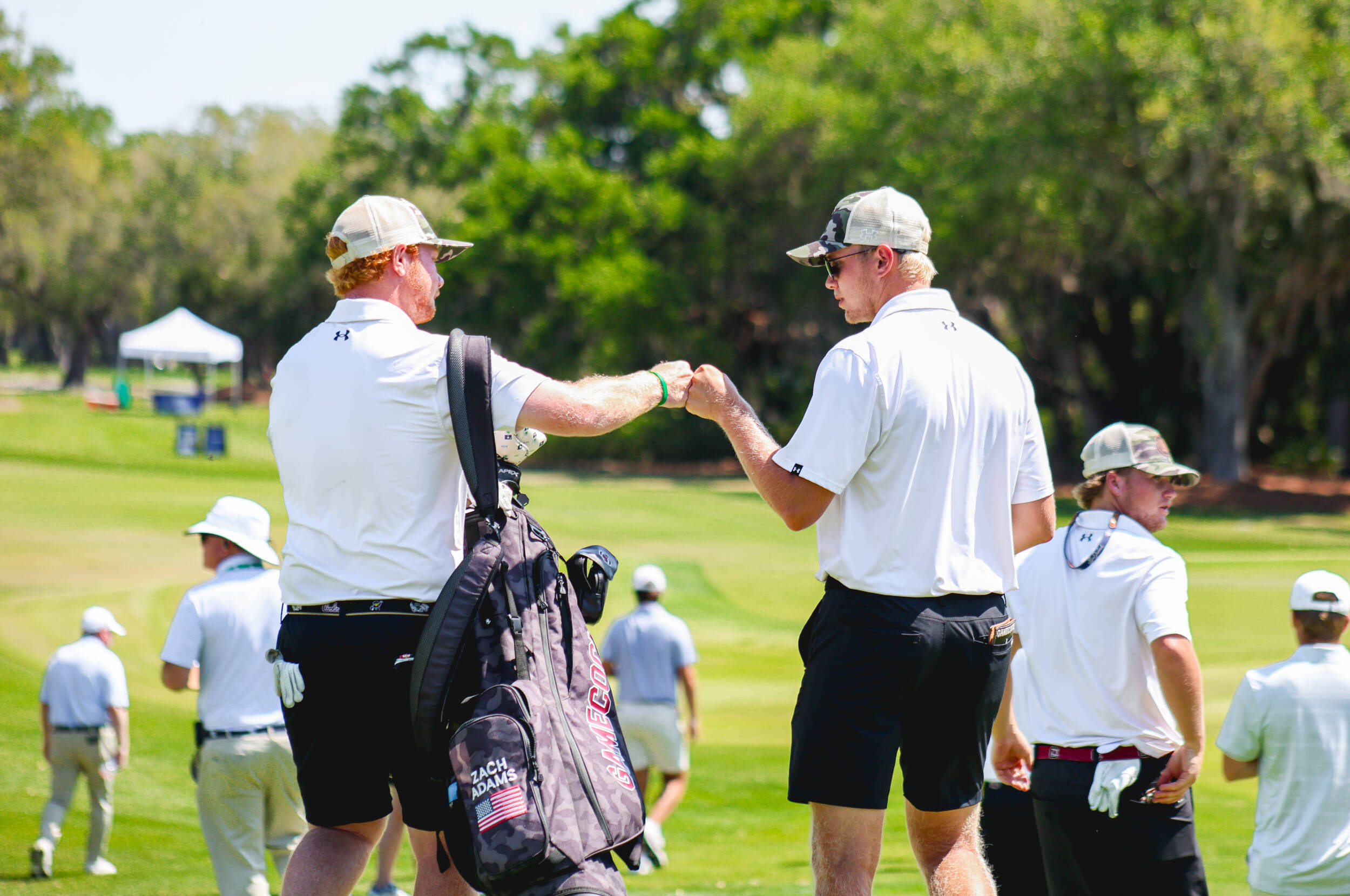 Gamecocks Earn No. 7 Seed in NCAA Columbus Regional