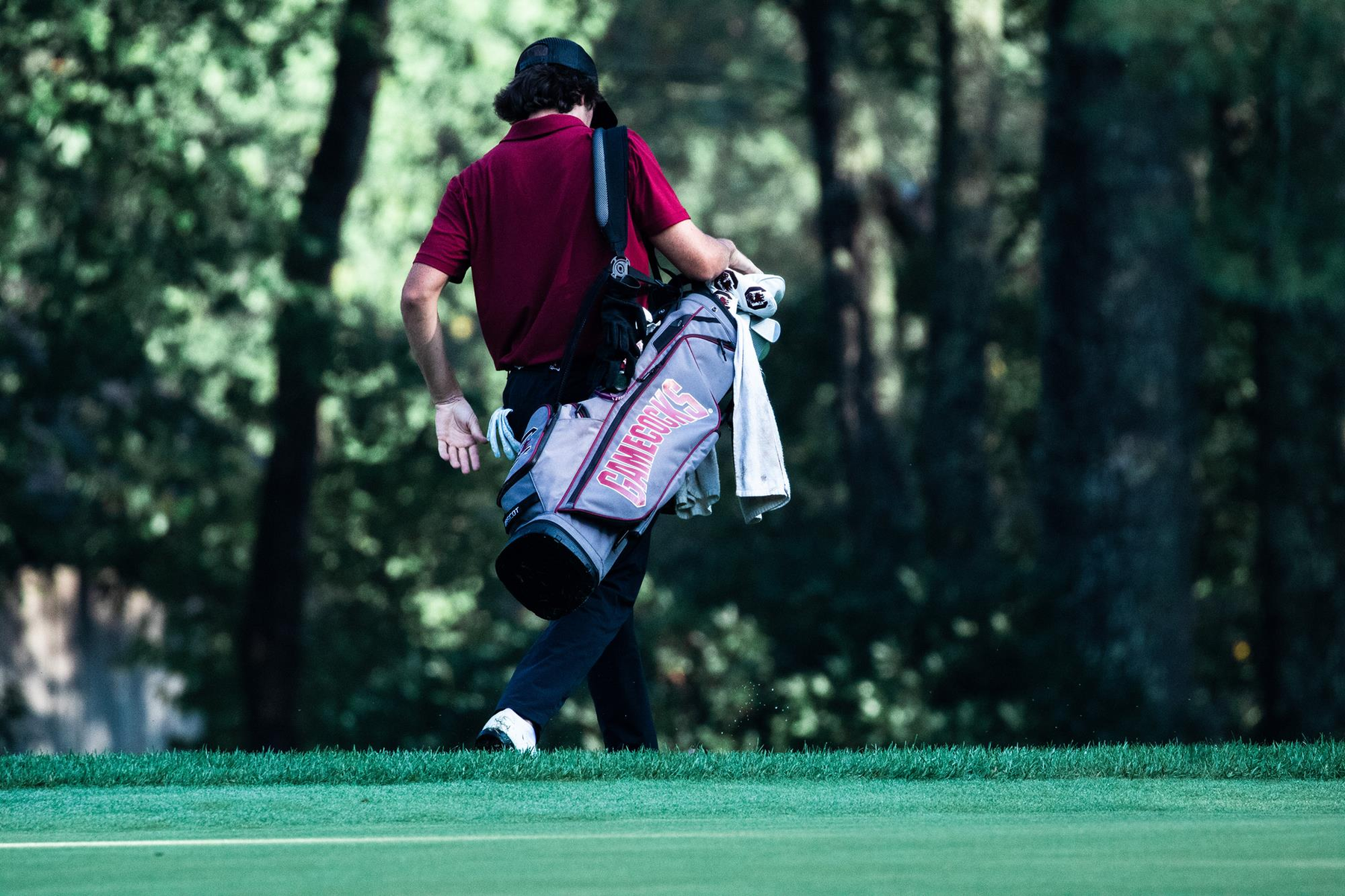 Gamecocks Announce 2020 Spring Slate