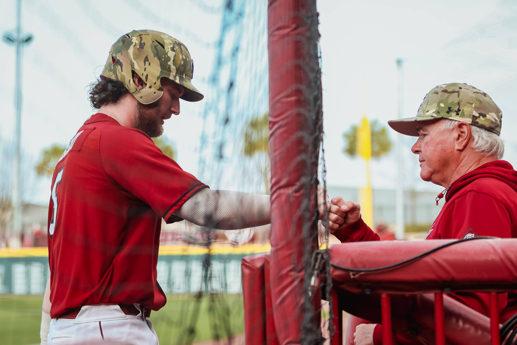Gamecock Baseball Notebook