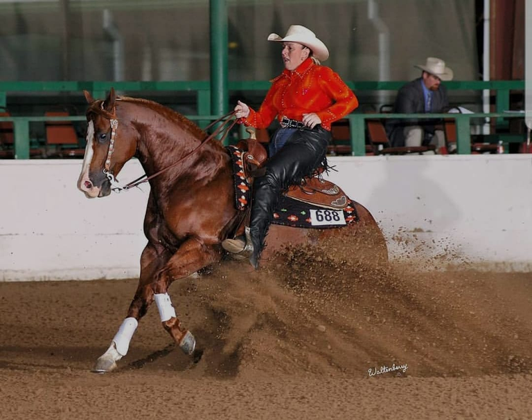 University of South Carolina Athletics